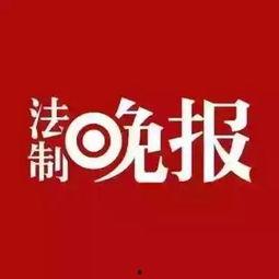 四川成都新闻线索爆料,揭秘成都某神秘项目背后的故事  第3张