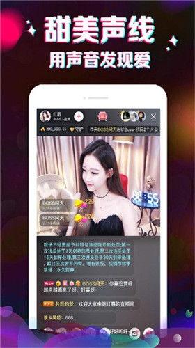 爆料风格直播视频大全最新,爆料风格视频大全，带你领略最新直播潮流  第2张