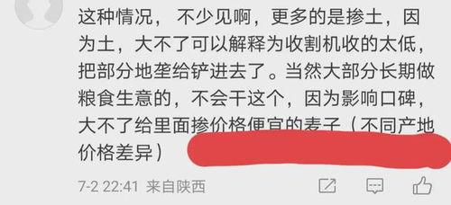 麦登真实爆料视频大全集,真实视频大全集深度解析