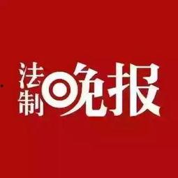 天等新闻网爆料电话,揭秘神秘爆料电话背后的故事