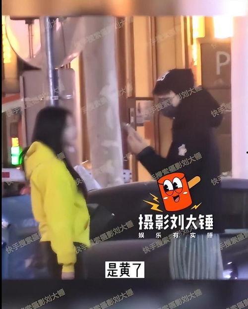 刘大锤爆料疑似沈腾视频,娱乐圈再掀波澜
